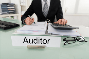 Audit Services from <strong>LES Financial Services</strong>